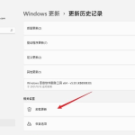 分享Win11怎么卸载已安装更新（WIN11怎么安装打印机）