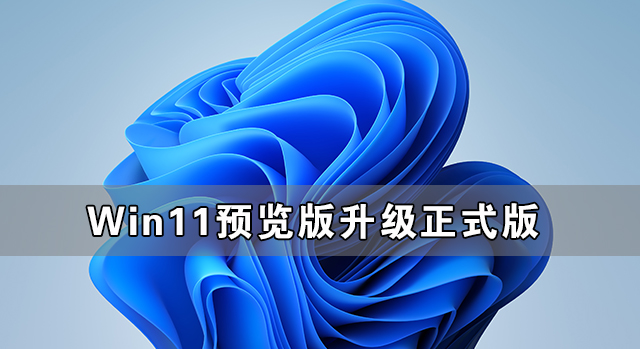 分享Win11预览版怎么升级正式版（Win11预览版怎么升级正式版）