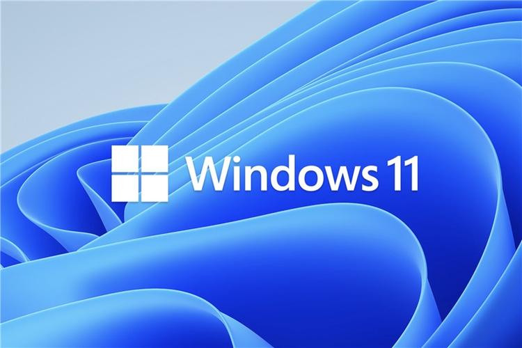 教你Win11预览版和正式版有什么区别（Win11预览版怎么升级正式版）