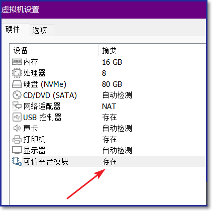 vmware虚拟机里如何添加tpm？vmware虚拟机里添加tpm的方法