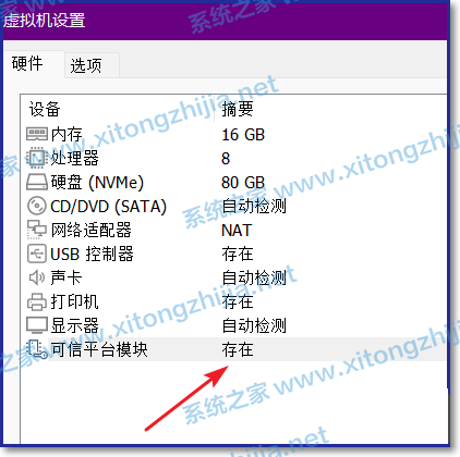 VMware虚拟机中怎么添加TPM2.0？VMware虚拟机添加TPM的方法教程