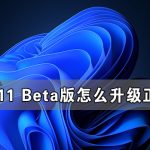 我来分享Win11