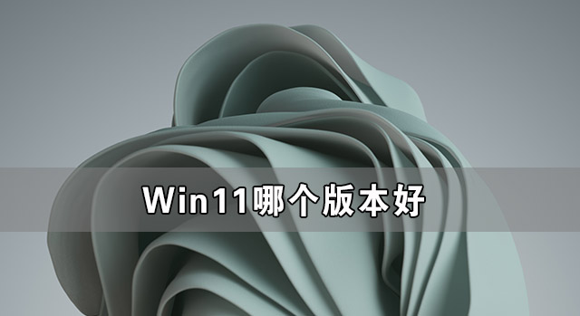 小编分享Win11哪个版本好（windows10和windows11哪个好）