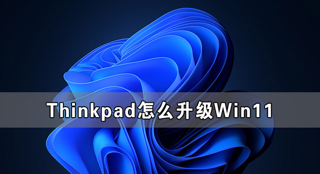 分享Thinkpad怎么升级Win11（thinkpad怎么升级系统）