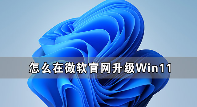 分享怎么在微软官网升级Win11（怎么在微软官网升级windows10系统）