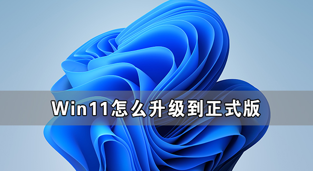 分享Win11怎么升级到正式版（Win11预览版怎么升级正式版）