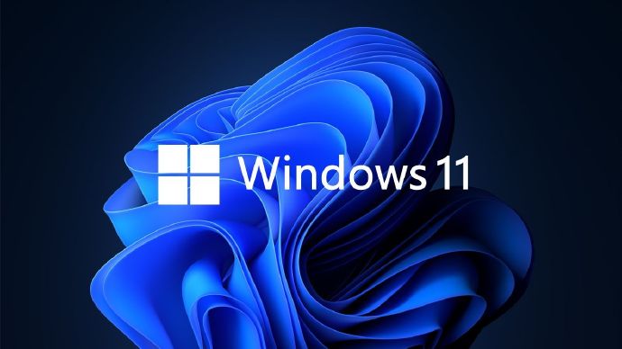 Win11怎么运行安卓应用？Win11直接运行安卓app教程