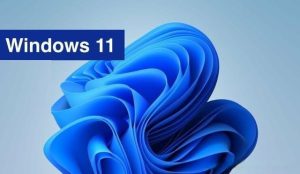 分享解决Win11（通常不会下载确保信任怎么解决win11）