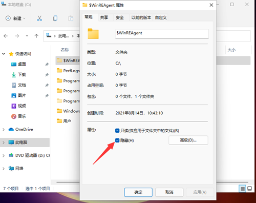 Win11如何查看所隐藏的文件？Win11查看隐藏的文件的方法