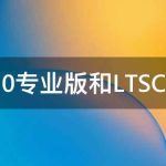 教你Win10专业版和LTSC区别（win10专业版LTSC）