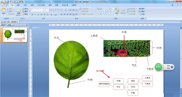 PPT如何制作结构图？PPT制作结构图教程