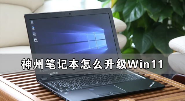 神州笔记本怎么升级Win11 神舟电脑升级Win11详细教程