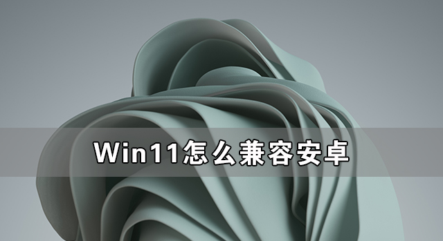 Win11怎么兼容安卓 Win11兼容安卓原理解析