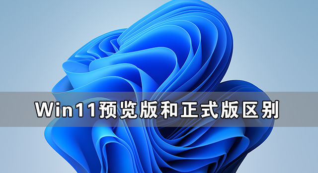 我来分享Win11预览版和正式版有什么区别（Win11预览版怎么变回正式版）