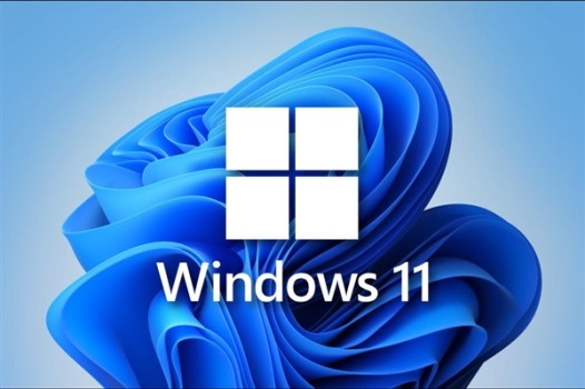 Win11不能参加预览体验计划怎么办？Win11不能参加预览体验计划解决方法