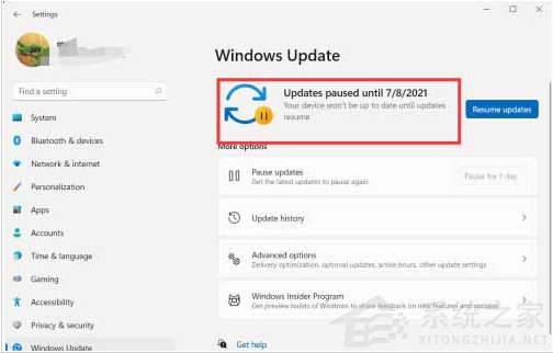 Win11怎么暂停系统更新？Win11暂停更新教程
