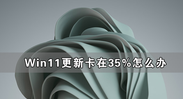 Win11更新卡在35%怎么办 Win11更新卡在35%的解决办法