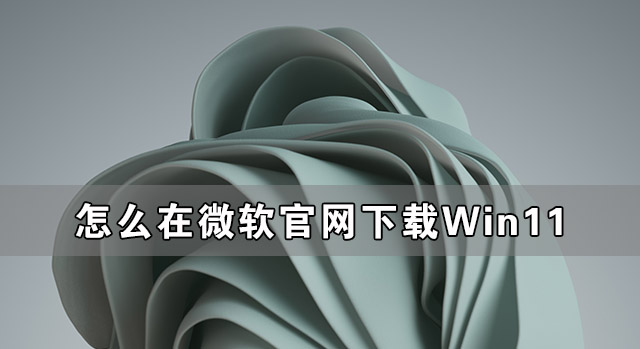 教你怎么在微软官网下载Win11（怎么在微软官网下载win11系统）