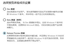 小编分享Windows11选dev渠道还是beta渠道（windows11 beta渠道）