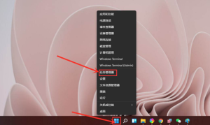 小编分享Win11如何查看显卡温度（Win11如何查看显卡）