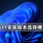 小编分享Win11安装版本选择哪个好（Win11安装哪个版本的CAD较好）