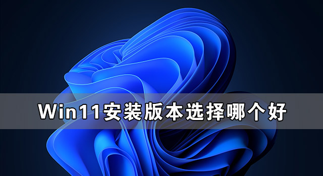 小编分享Win11安装版本选择哪个好（Win11安装哪个版本的CAD较好）