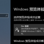 分享怎么获取Win11预览版内测（Win11预览版怎么下载）