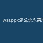 小编分享wsappx怎么永久关闭/禁用