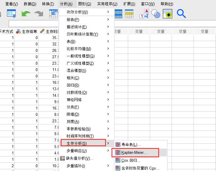 SPSS中怎么用Kaplan-Meier模型判断单个指标对生存期的影响？