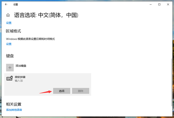 Win10专业版输入法打不出汉字怎么回事？