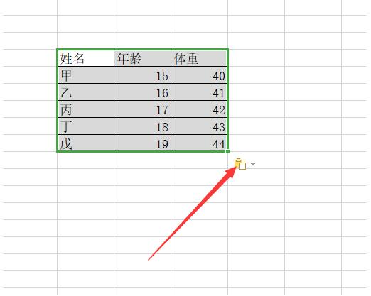 Excel中如何使表格旋转90度