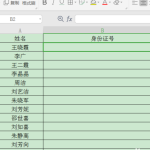 我来分享怎么使用WPS制作身份证的数字格子