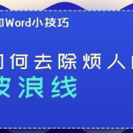 我来教你WPS/Word如何去除烦人的波浪线