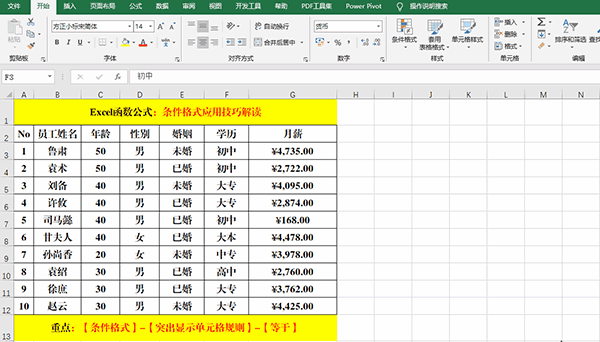 Excel 2019中使用条件格式分析数据的7类方法教学