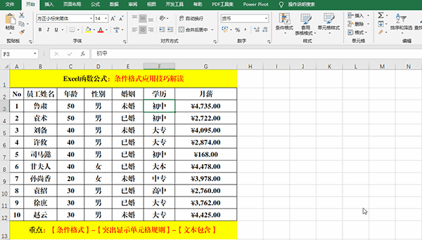 Excel 2019中使用条件格式分析数据的7类方法教学