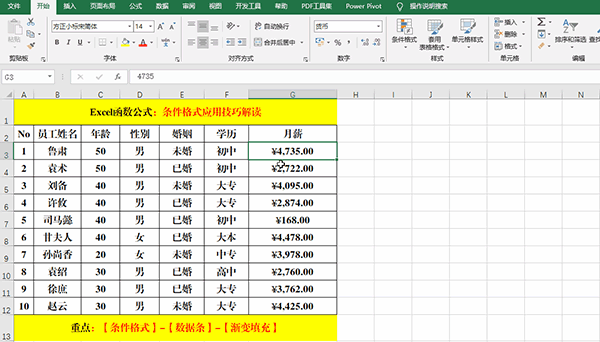 Excel 2019中使用条件格式分析数据的7类方法教学