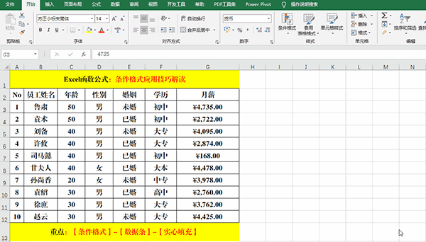 Excel 2019中使用条件格式分析数据的7类方法教学