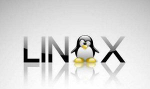 我来教你Linux是什么（linux是什么软件）