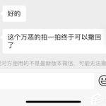 分享微信拍一拍可以撤回了