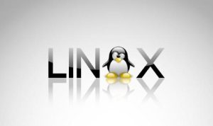 分享干货我来教你：Linux命令大全（常用的linux命令大全）