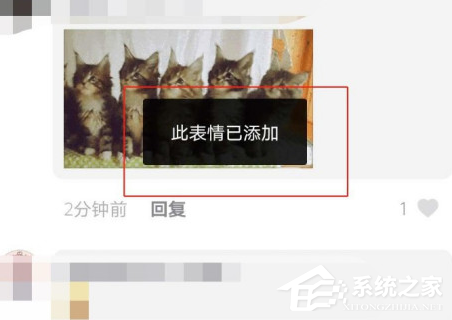 抖音猫咪摇头蹦迪表情包怎么发？抖音5只猫点头表情包下载