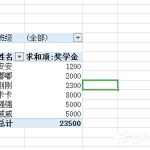 关于怎么保持wps表格中数据透视表刷新后格式不变