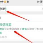 关于微信指数怎么看