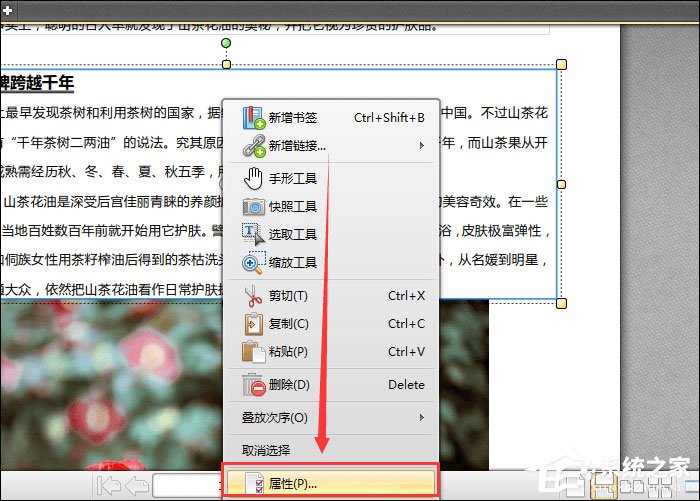 PDF文件怎么加粗字体？迅捷PDF编辑器加粗PDF文件字体的方法