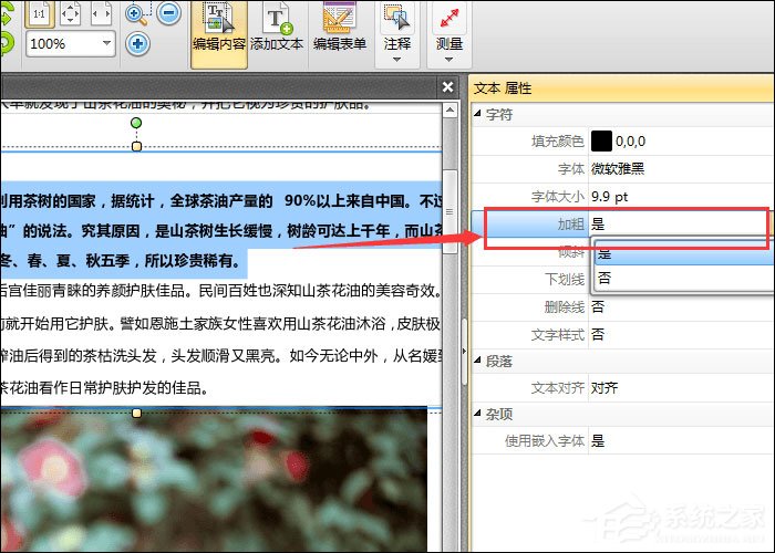 PDF文件怎么加粗字体？迅捷PDF编辑器加粗PDF文件字体的方法