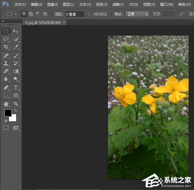 关于photoshop