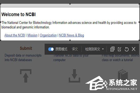 有道词典怎么截图翻译？有道词典截图翻译的方法