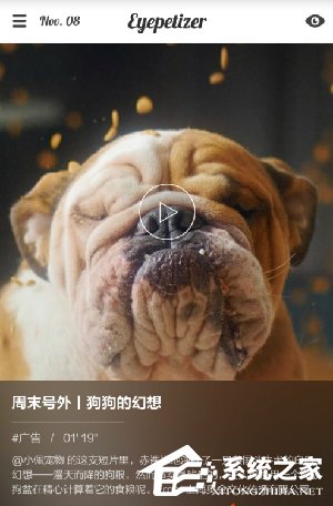 小编分享开眼app怎么保存视频（开眼app的视频能保存下来吗）