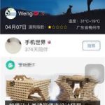 教你有宠app怎么关闭资讯推送通知