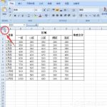 关于excel2007调整表格行列宽度步骤方法